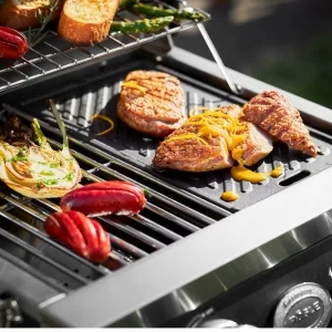 Rösle Mobiler Gasgrill VIDERO G2-P, 50 Mbar 24